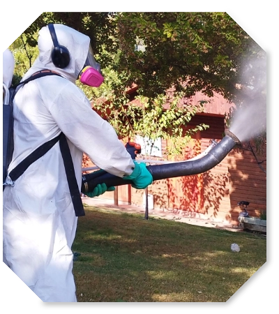 control-plagas-chile-rm-valparaiso Persona fumigando en jardín con traje de seguridad y máquina que desprende producto en forma de nube.