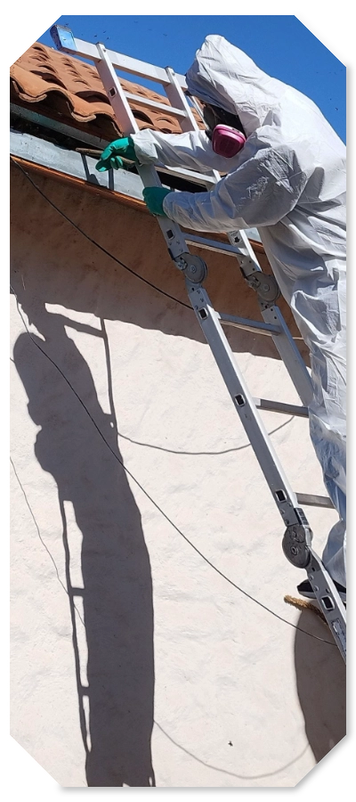 fumigaciones-valparaiso-rm Persona fumigando en domicilio con traje de seguridad blanco